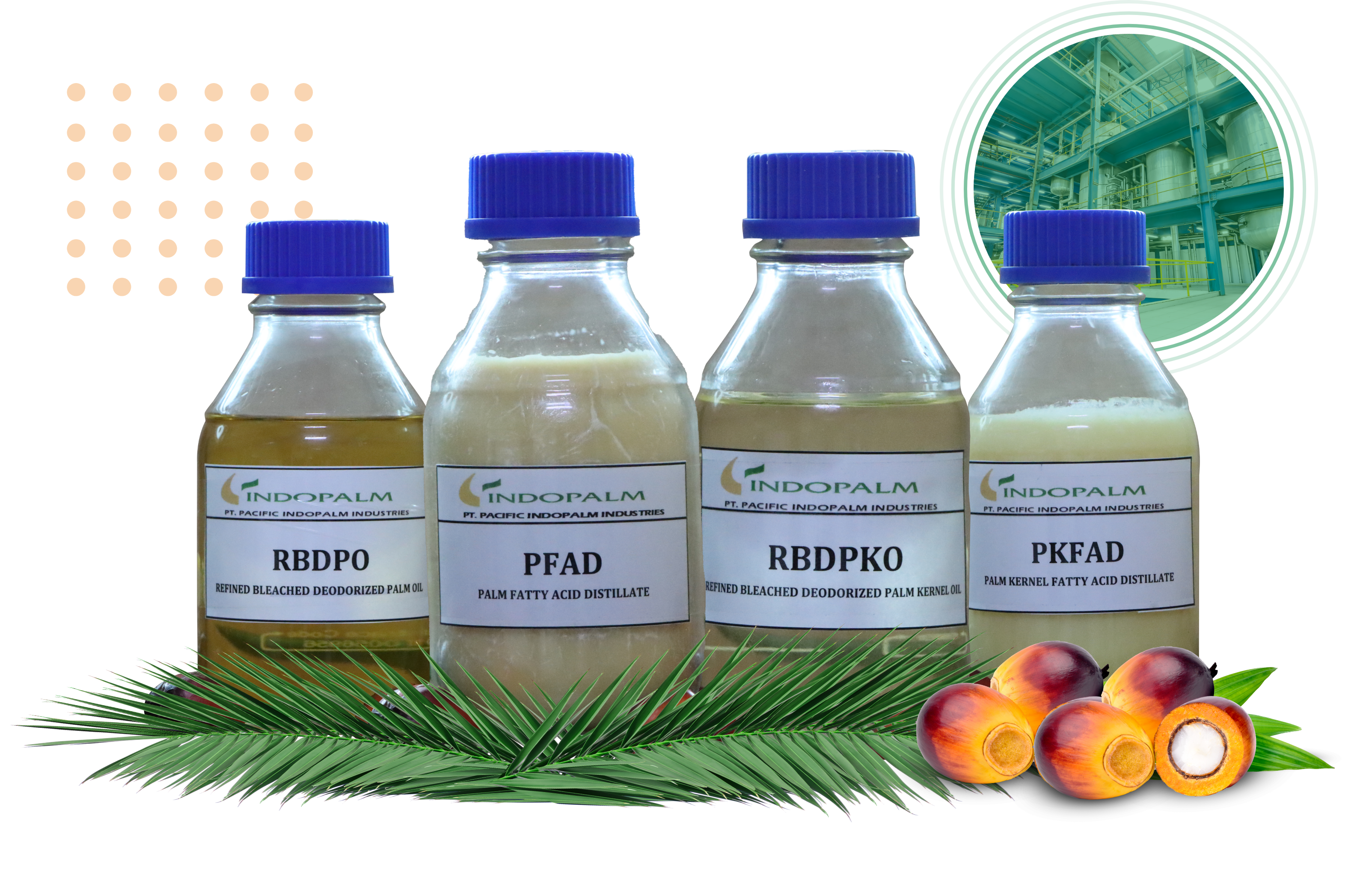 Palm oil (refined) – Sapolita
